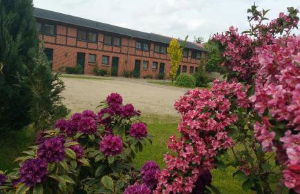 Landferienhof "Müritzufer" - Foto 2