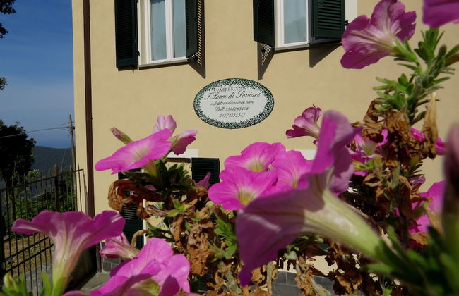 Lecci Di Soviore - Foto 33