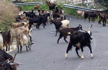 Casa San Rocco - Foto 32