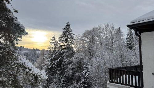 Wagnerstal Hunting Lodge - Foto 3, Other