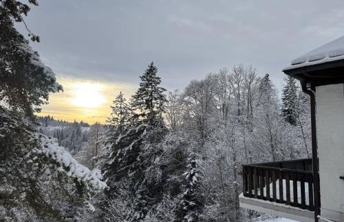 Wagnerstal Hunting Lodge - Foto 3