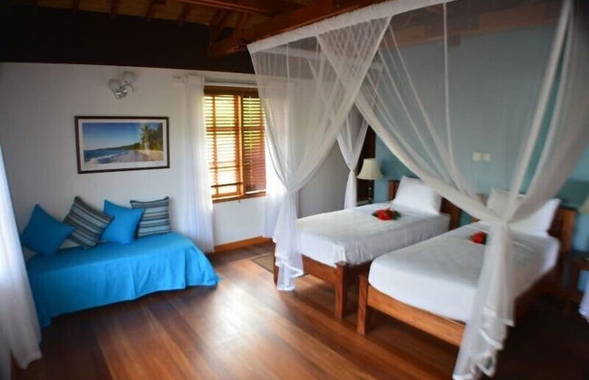 Heliconia Grove - Foto 5