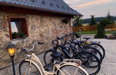 Kamień i Sowa - Foto 67