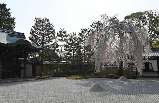 Kyonoyado Senkakubettei - Foto 45