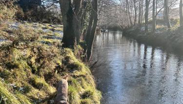 Shepherds hut, Eco, Log burner Hot tub NY moors - Foto 5