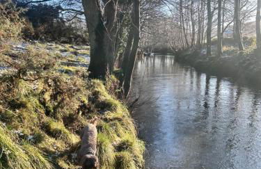 Shepherds hut, Eco, Log burner Hot tub NY moors - Foto 5