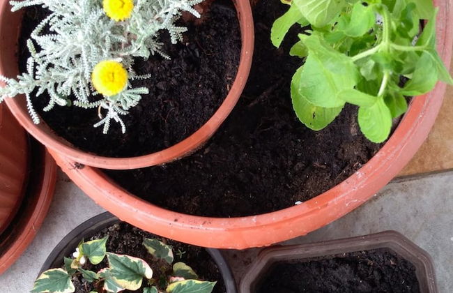 Apartments Jovanovic - Foto 48