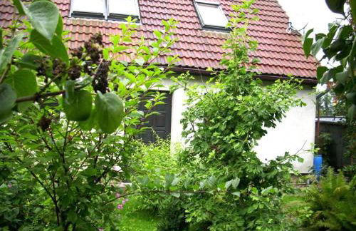 Apartment at the Knappensee in Gross Sarchen - Foto 1