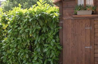 BHH Appartamento Signorini Bologna -wwwbolognaholidayhomecom- Parcheggio Riservato e Giardino - Holiday House Bologna Garden Parking - Foto 58