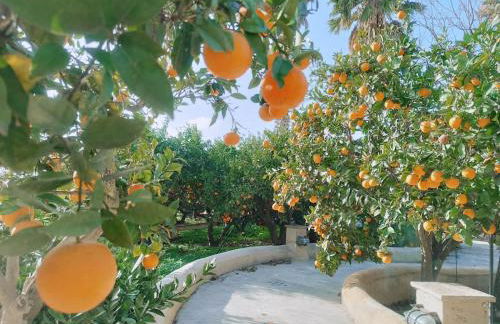 Casa Aranci - Foto 30