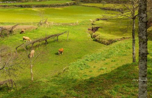 Azenha da Lavoura em Barrega - Foto 37