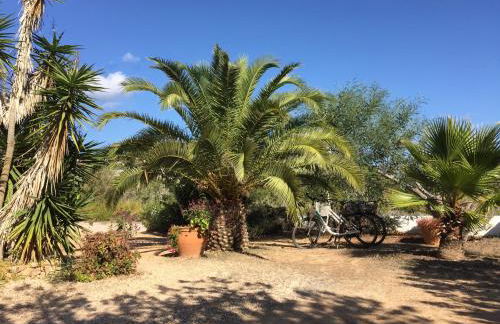 Apartamentos Laura Playa de Migjorn - Foto 27