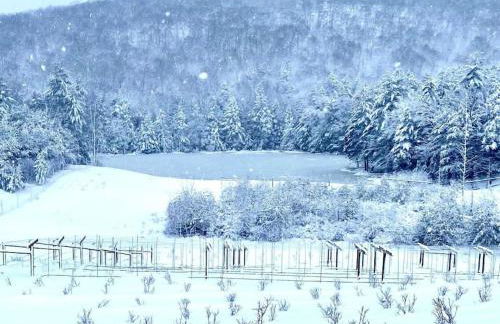 Luxury Farm Stay-Bonds Corner Bungalow-Wolf Pine Hollow - Foto 47