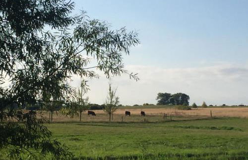 Ferienwohnung Seeblick - Insel Usedom - Foto 45