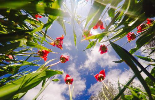Sea Breeze Apartments Chios - Photo 59
