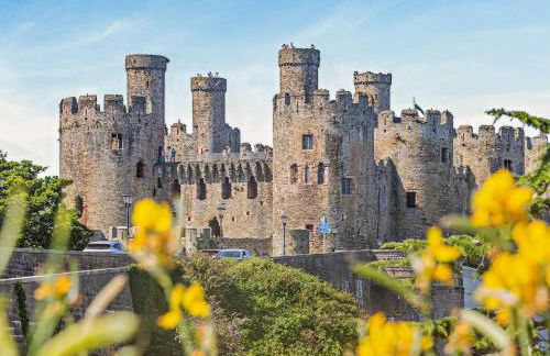 2 Bed in Tyn-y-Groes 60292 - Foto 12