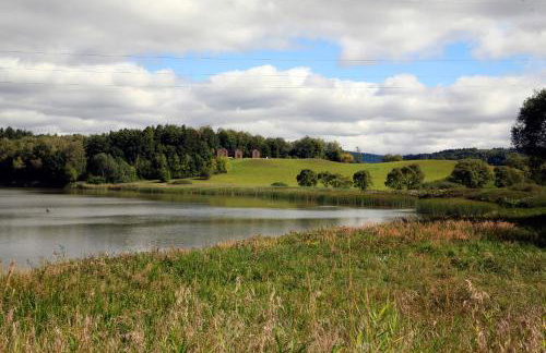 Domek Dzikie Lisko - Foto 24