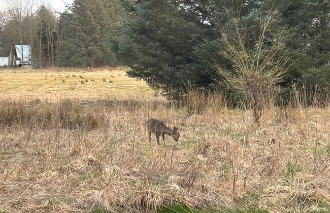 "Marla" - 1.1km from the sea - Foto 3