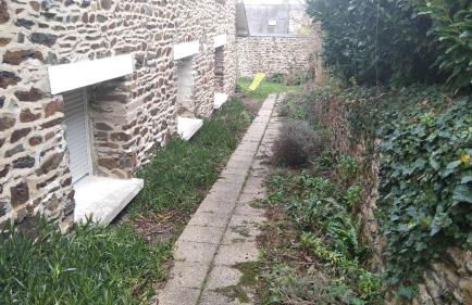 les mouettes - Foto 21