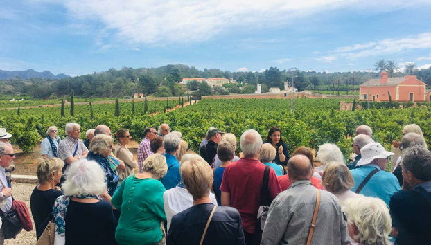 Exploring the orange grove