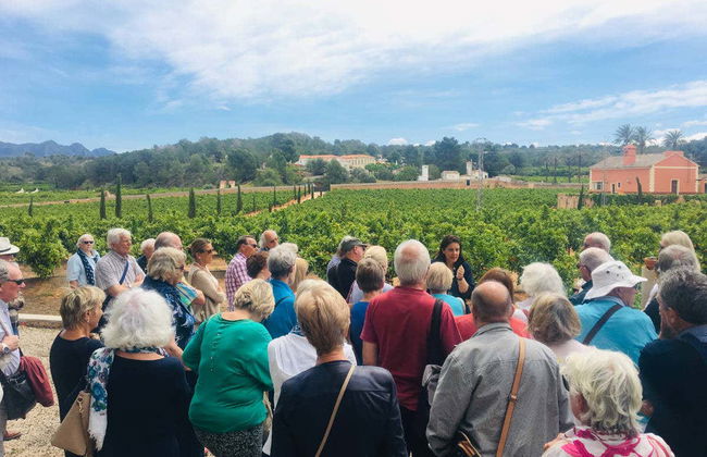 Tour di un aranceto a Carcaixent - Foto 2