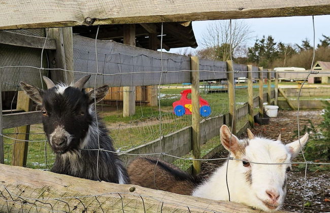 8 Person Holiday Home in Struer - Foto 31