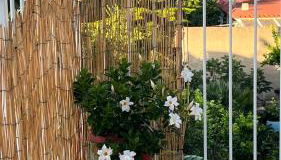 La casa di Nonna Rosa - Photo 2