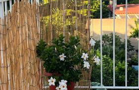 La casa di Nonna Rosa - Foto 2