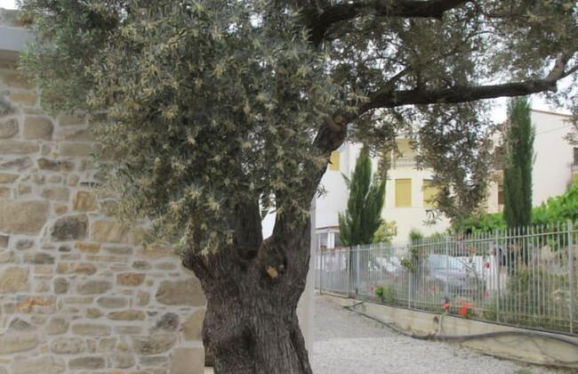 Villa Efthalia - Foto 12