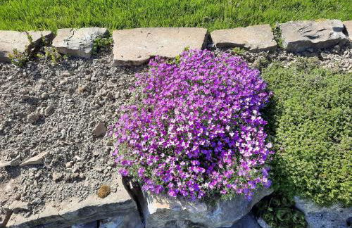 Alter Spieker Sundern-Endorf - Foto 24