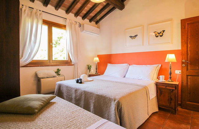 Boschi di Montecalvi - Foto 63