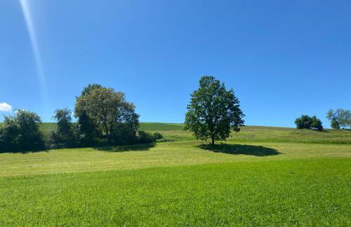 Cozy home in South-germany - Foto 26