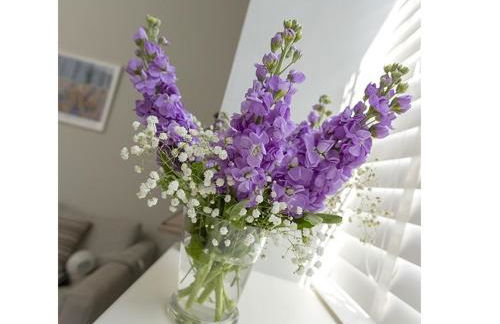 The Lane Apartment - Foto 36