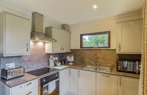 Birch Lodge 22 With Hot Tub, Newton Stewart - Foto 16