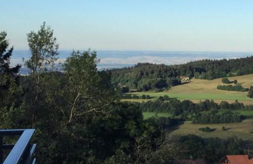 FERIENWOHNUNG FORSTPANORAMA - Foto 23