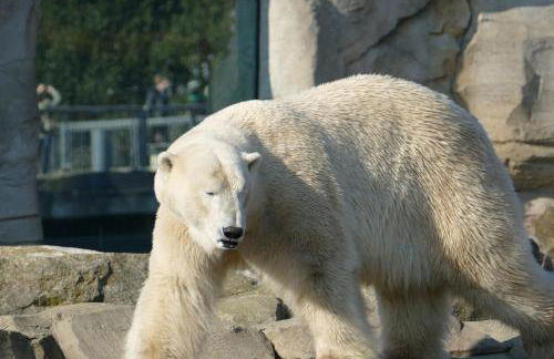 Ferienhaus Juna am Nordseedeich - Foto 21