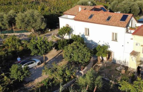 N'haidea - AgriFarm e B&B - Foto 2