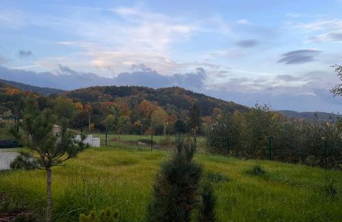 Śnieżna Chatka - Sosnówka Karpacz - Foto 29