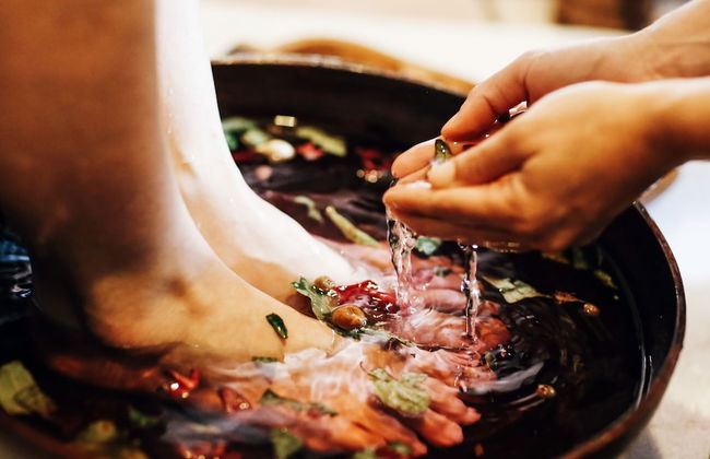 Daintree Ecolodge - Photo 22