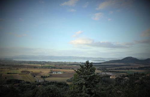 Il vecchio frantoio - Foto 42