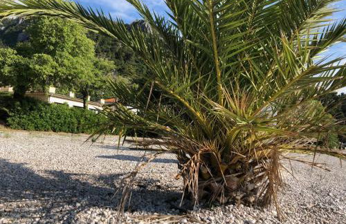 Private Hanglage mit besonderer Ausstattung - Foto 26