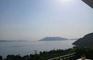 Villa Thea - Foto 39