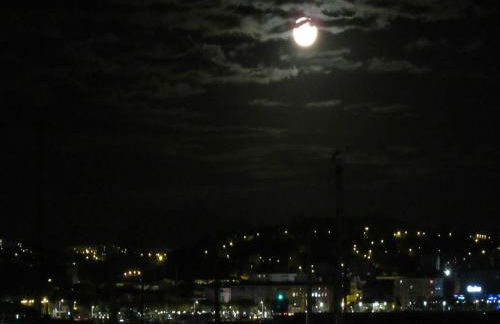 Boutique Apartment Hirondelle Port Frejus - Foto 35