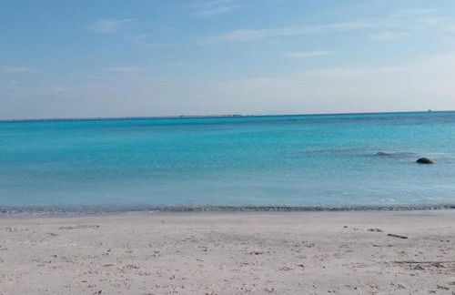 Caletta Beach - Foto 36