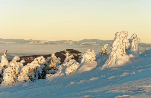 Agroturystyka,, Ranczo Kruszynki" - Foto 25