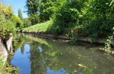 Le Gîte du Nohain - Foto 14