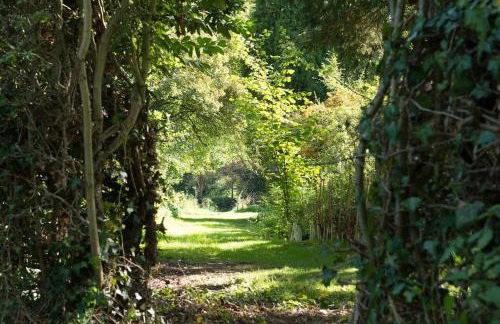 Deepwell Granary is a lovely thatched barn with attached meadow woodland - Foto 16