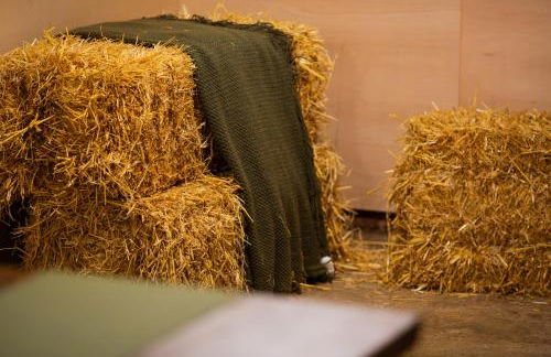 Countryside Cabin on 5 Acres Countryside with Outdoor Firepit, Cinema and converted Stables - Foto 49