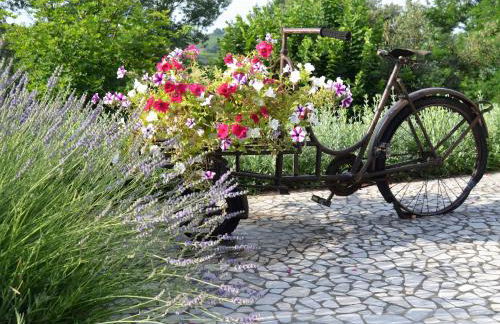 La Colombara - Fra i colli a 5 minuti dall'autodromo - Foto 29
