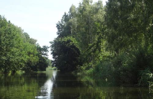 Alteschule15 - Foto 30